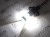 Żarówka Led Ps19W PSx24W 12V DC SMD 3020 Biały Zimny 6000K CANBUS OPTICON PREMIUM