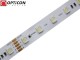 Taśma LED 24V 300x SMD 5050 4in1 12mm IP20 19,2W RGBW + Biały Zimny 6000K OPTICON PREMIUM