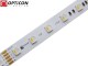 Taśma LED 24V 300x SMD 5050 4in1 12mm IP20 19,2W RGBW + Biały Ciepły 2700K OPTICON PREMIUM