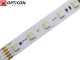 Taśma LED 24V 300x SMD 5050 4in1 12mm IP20 19,2W RGBW + Biały Neutralny 4000K OPTICON PREMIUM