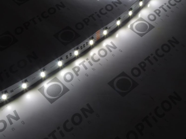 Taśma LED 24V 300x SMD 5050 4in1 12mm IP20 19,2W RGBW + Biały Zimny 6000K OPTICON PREMIUM