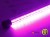 Taśma LED 12V DC 72x SMD 5630 12mm IP20 24W Różowy Aluminium - 1 metr 