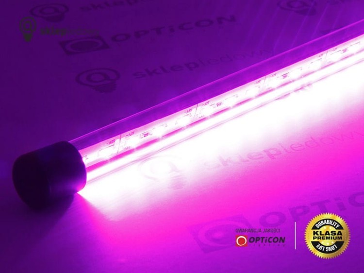 Taśma LED 12V DC 72x SMD 5630 12mm IP20 24W Różowy Aluminium - 1 metr 
