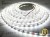 Taśma LED 24V 300 SMD 3528 8mm IP20 4,8W /m Biały Zimny - 1 metr