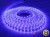 Taśma 24V LED 300x SMD 5050 10mm IP20 RGB - 1 metr