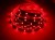 Taśma LED 24V 300x SMD 5050 10mm IP20 14,4W RGBWW PREMIUM - 1 metr