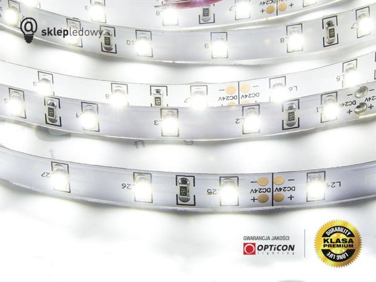 Taśma LED 24V 300 SMD 3528 8mm IP20 4,8W /m Biały Zimny - 1 metr