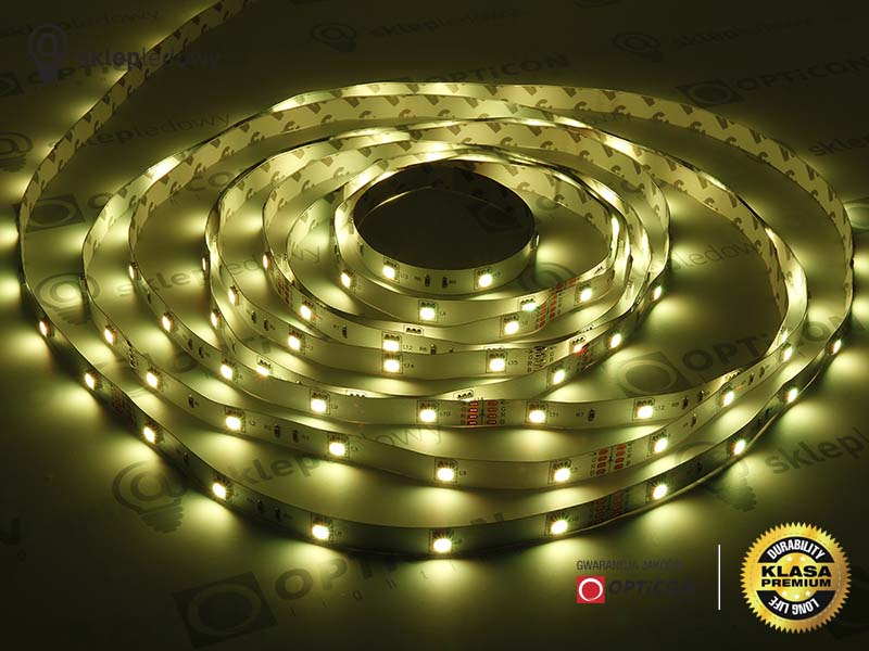 Taśma 24V LED 150x SMD 5050 10mm IP20 RGB - 1 metr