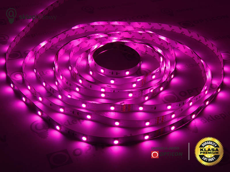 Taśma 24V LED 150x SMD 5050 10mm IP20 RGB - 1 metr
