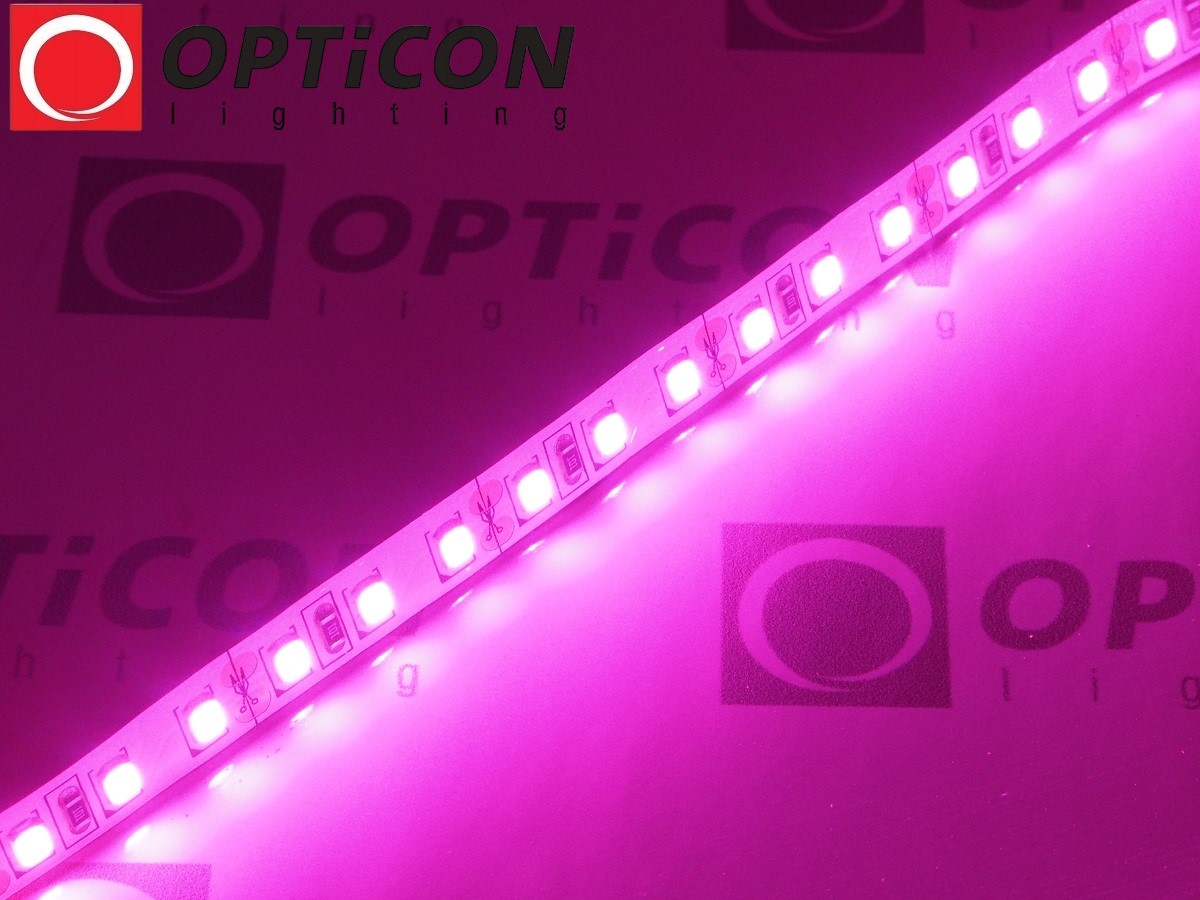 Taśma LED 12V 600 SMD 2835 8mm IP20 18W/m Różowy OPTICON PREMIUM Taśma LED 12V 600 SMD 2835 8mm IP20 18W/m Różowy OPTICON PREMIUM