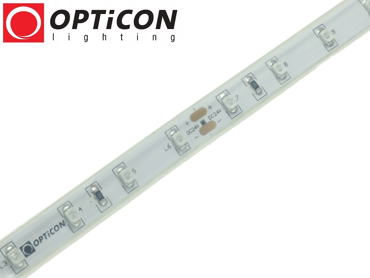 Taśma LED 24V 300 SMD 3528 8mm IP20 4,8W /m Niebieski OPTICON PREMIUM