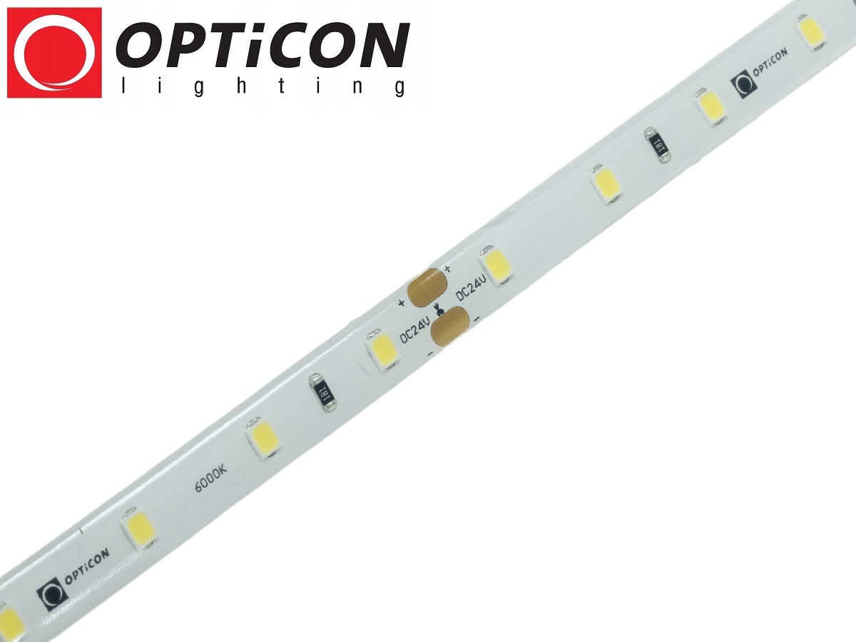 Taśma LED 24V 300 SMD 2835 8mm IP65 4,8W /m Biały Zimny 6000K OPTICON PREMIUM 