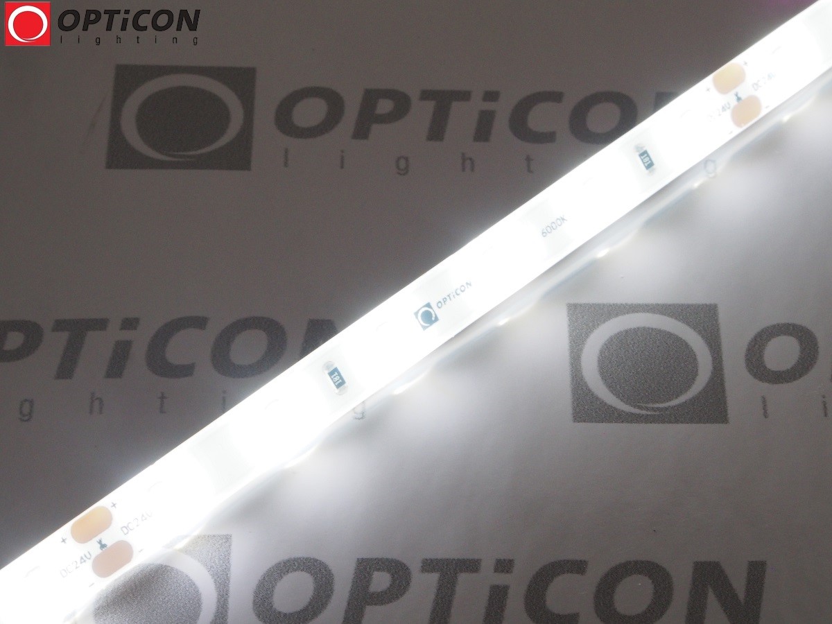 Taśma LED 24V 300 SMD 2835 8mm IP65 4,8W /m Biały Zimny 6000K OPTICON PREMIUM 