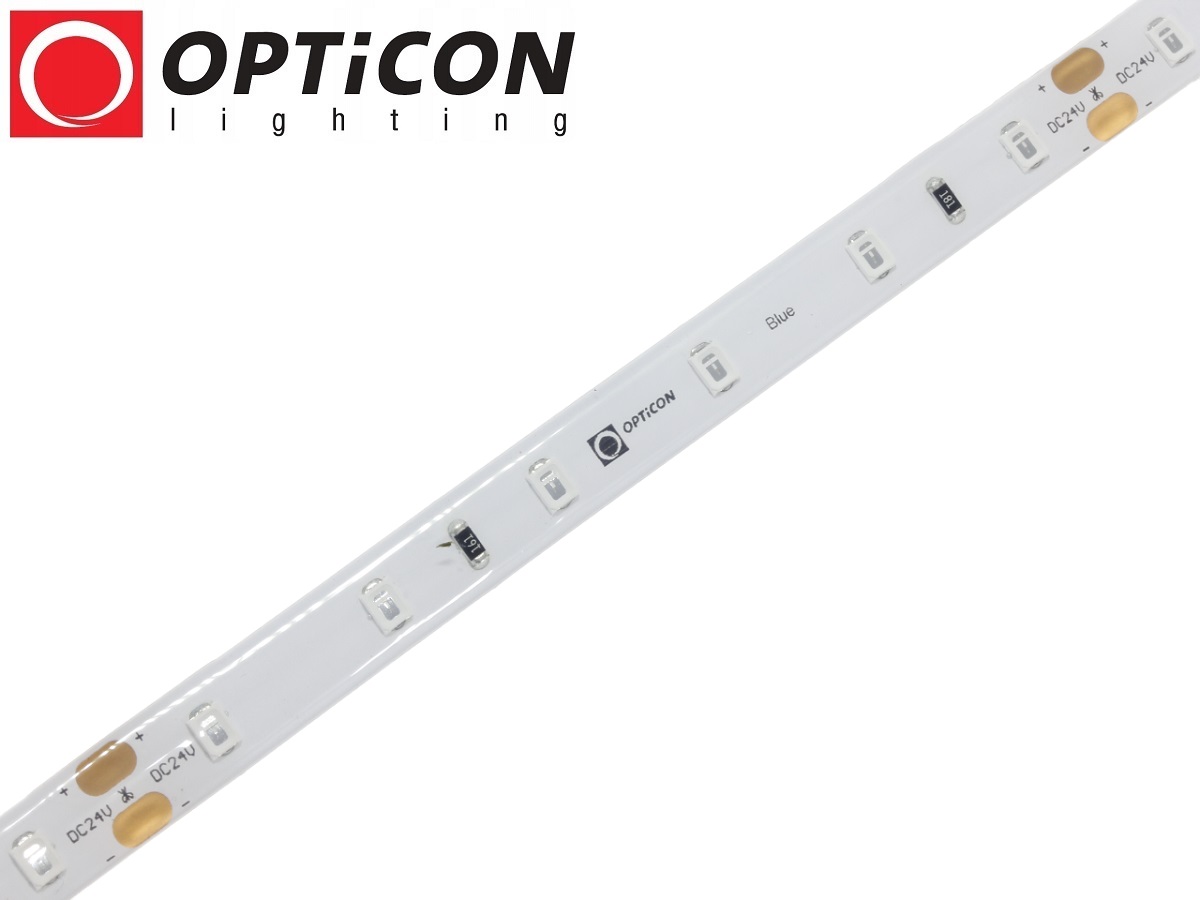 Taśma LED 24V 300 SMD 2835 8mm IP65 4,8W /m Niebieski OPTICON PREMIUM