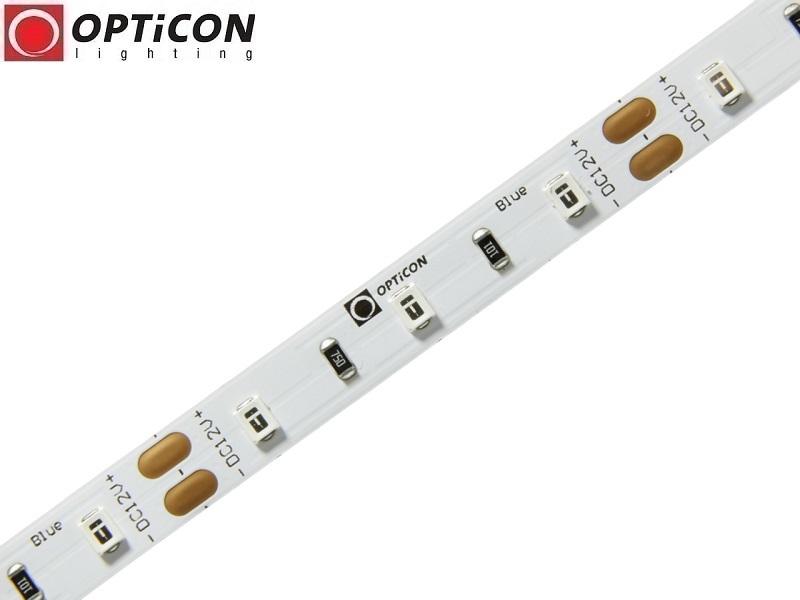 Taśma LED 12V 300 SMD 2835 8mm IP20 4,8W/m Kolor Niebieski OPTICON PREMIUM