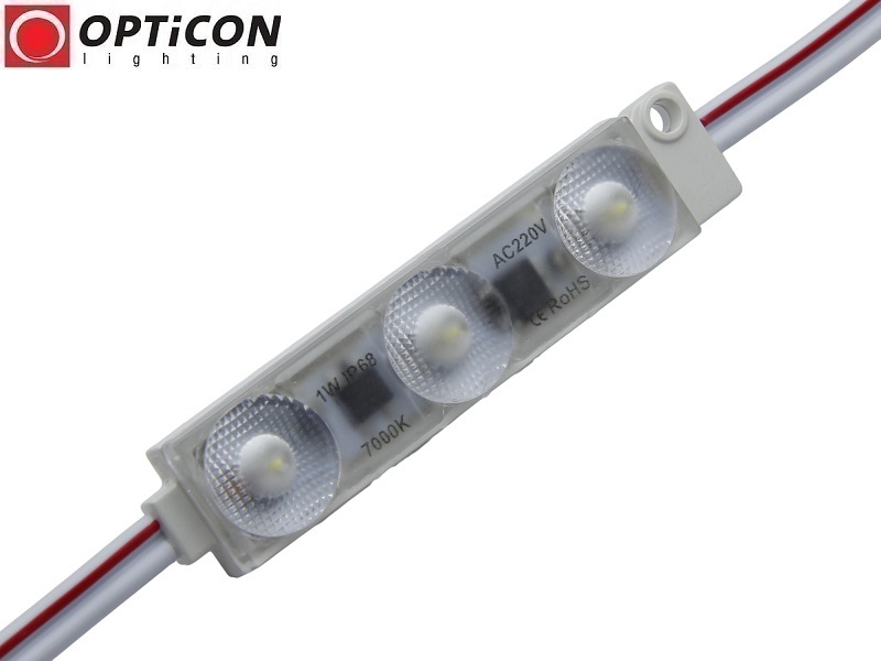 Moduł LED 230V AC 2x SMD2835 IP68 1W Biała Zimna 7000K