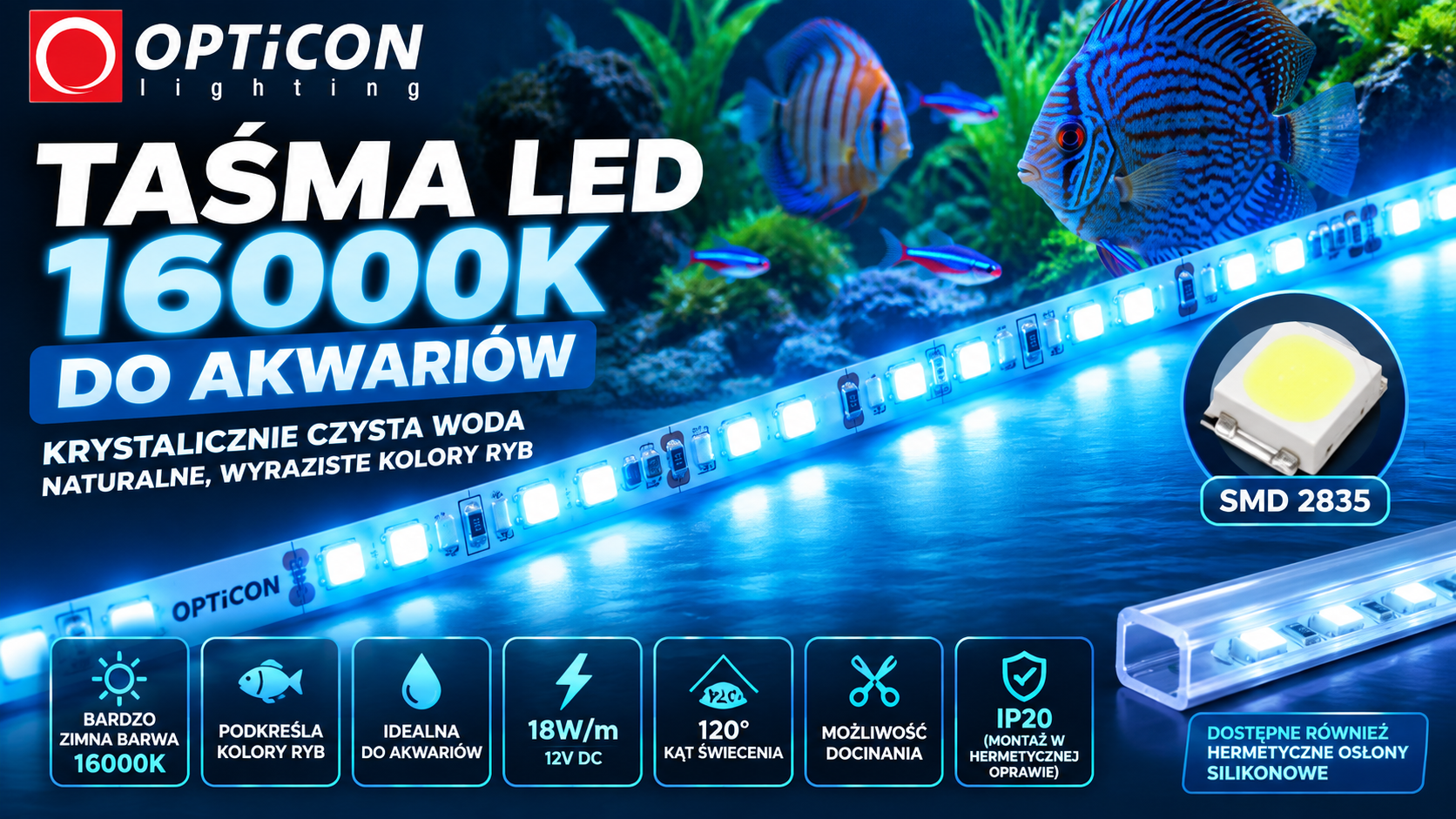 Nowość w ofercie: Taśma LED 16000K do oświetlenia akwariów. Nowość w ofercie: Taśma LED 16000K do oświetlenia akwariów.