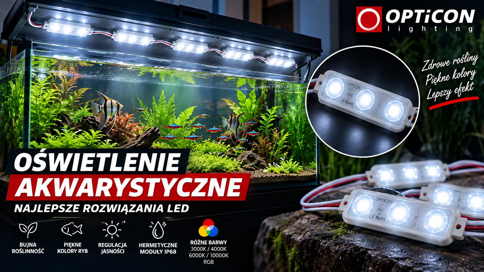 Oświetlenie akwarystyczne – najlepsze rozwiązania LED. Jak dobrze oświetlić akwarium?